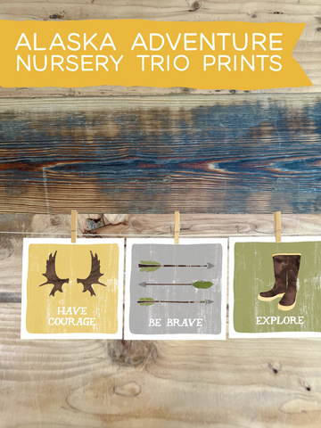 CLOSEOUTS - Alaska Adventure Nursery Trio - Art Prints