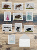 Alaska Wildlife Note Cards - Box Set of 10