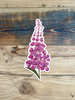 6 Inch Fireweed - Vinyl Sticker